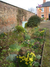 february---herbaceous-border_49588045727_o.jpg