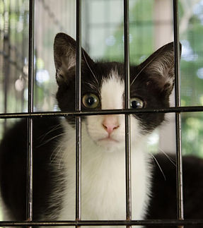 s6Kk6VRpO7lbXP1n7xp7BUOjz9SHwZWuCpM4Q8HWgGjit1RyedMDl33R1EyggEZ4UbY0vDmkZyMSznIi-uPkzHVFiN