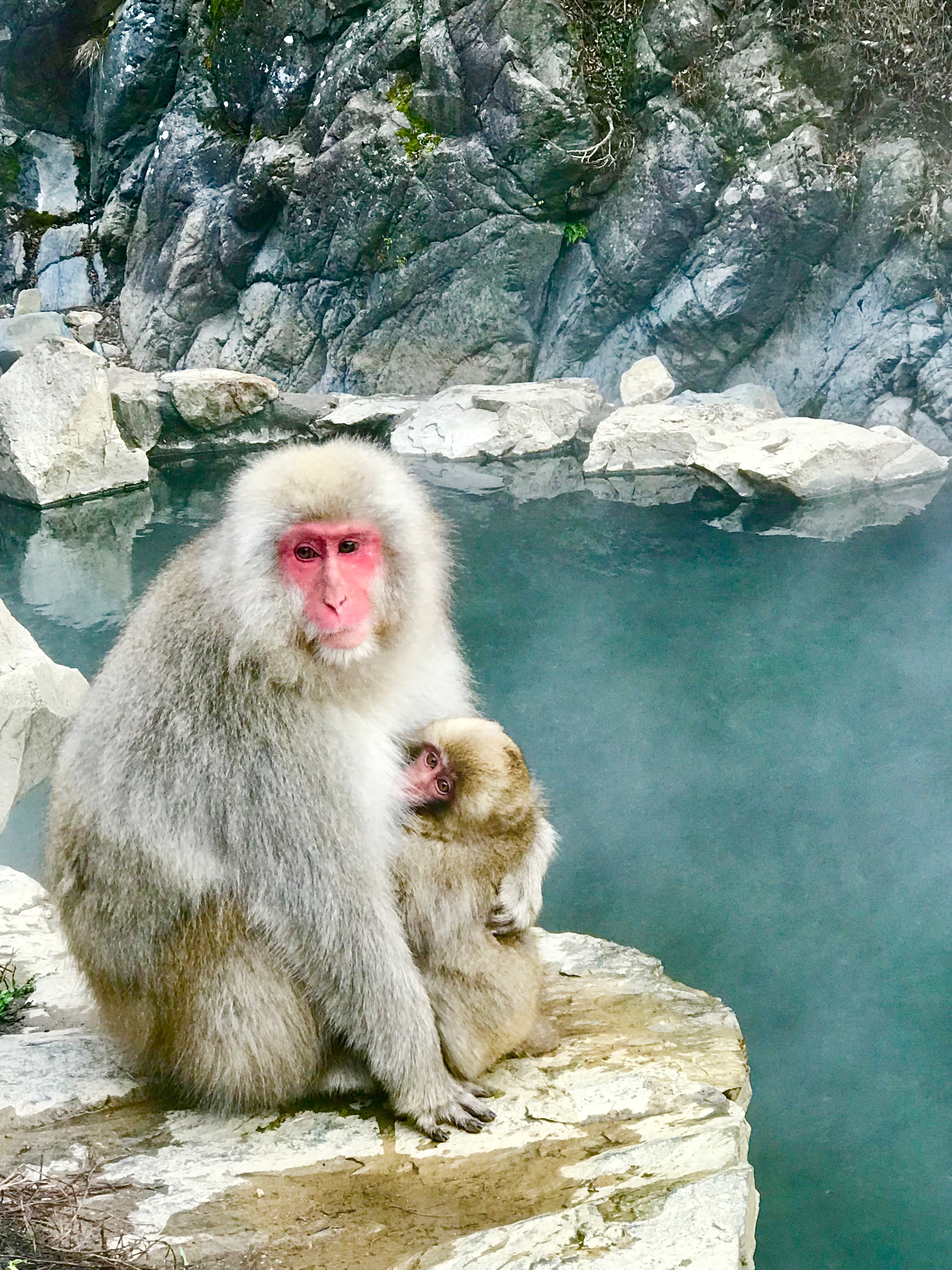 Yudanaka, Japan