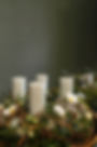 Blütentraum_Advent25-2.jpg