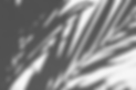 Schatten.png