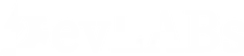 evlabs.webp