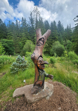 Troll Garden – Fløibanen, Bergen