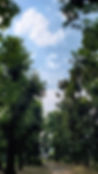 20201001_160714.jpg