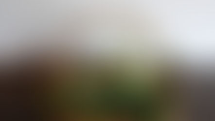 6月の五芒教室の様子