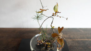 １２月の五芒教室の様子