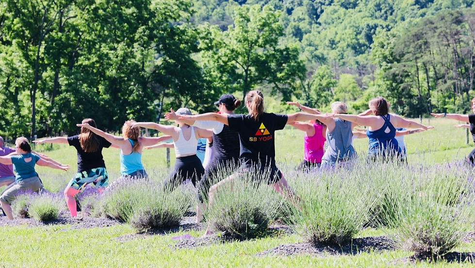 Lavender Farm Yoga