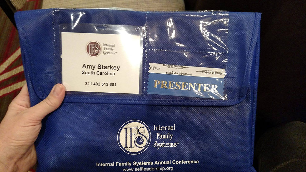 IFS Conference 2016 presenter