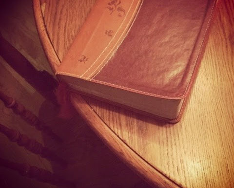 A Thanksgiving Feast by a Mommy Who Cannot Cook