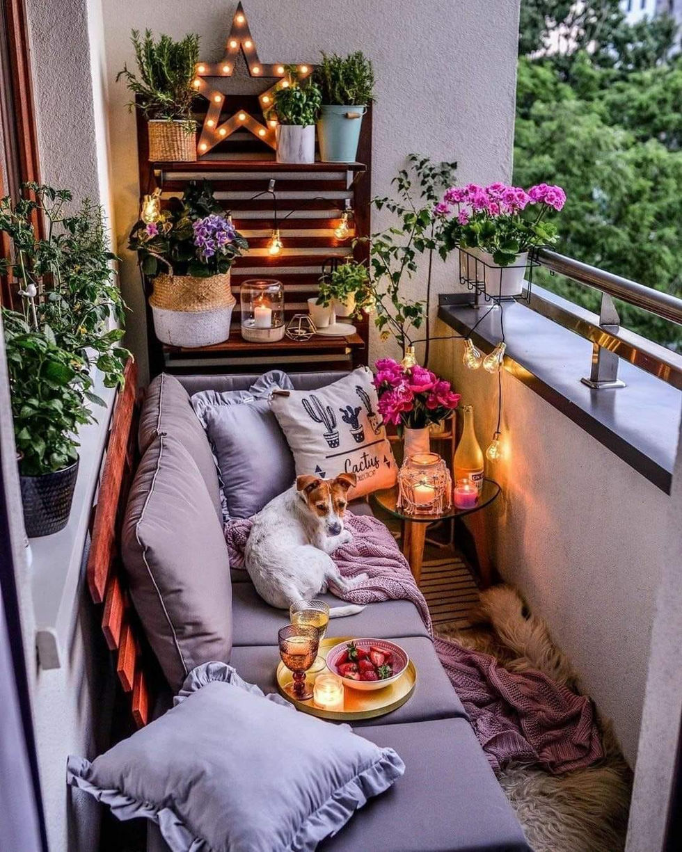 porches dite13