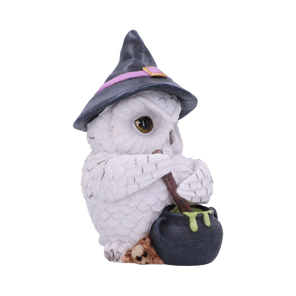 Miniature : Figurine Hibou Sorcier Potion 17.5 Cm