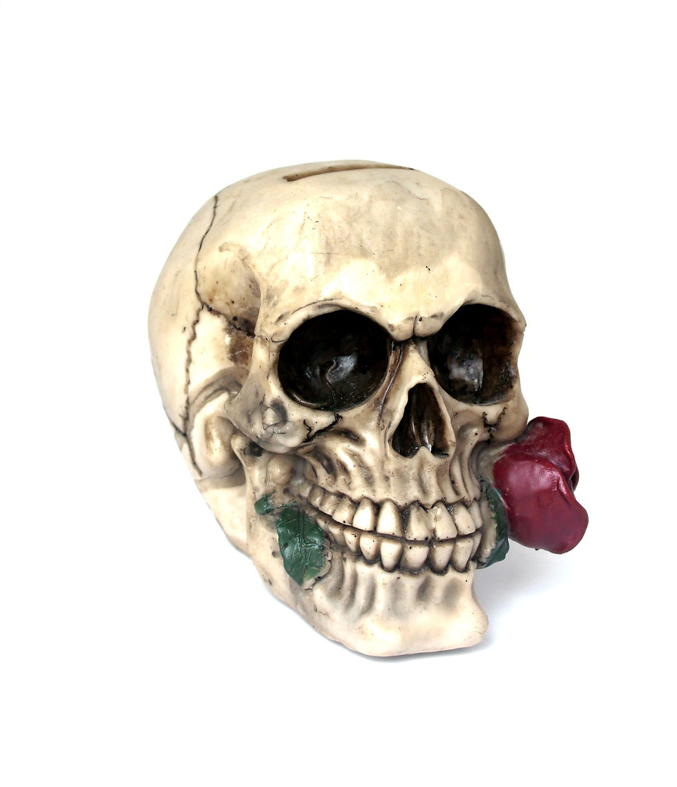 Thumbnail: Crâne Tirelire avec une Rose 15 Cm
