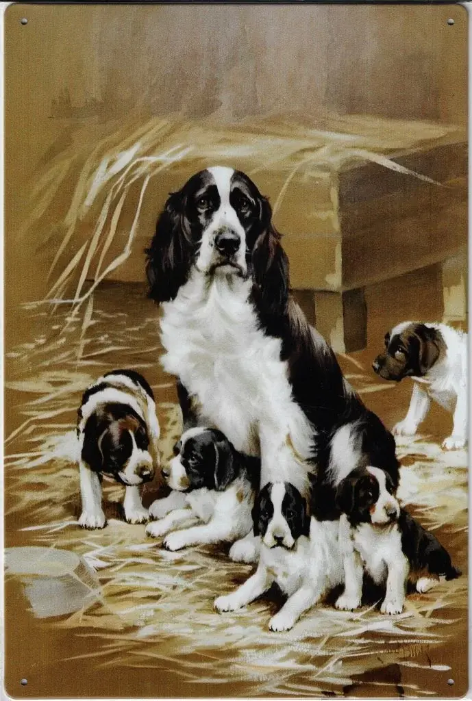 Plaque Métal Chien Setter