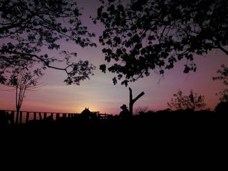 Líderes sociales y excombatientes en la Orinoquia: entre presión, miedo y amenazas 