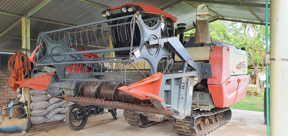 Alternativas para la producción de arroz ambientalmente sostenible en la Orinoquia