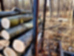 stack of oak mushroom logs loaded in metal cage in woods
