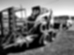 Skidsteer, mushroom log cage, and bucket on trailer