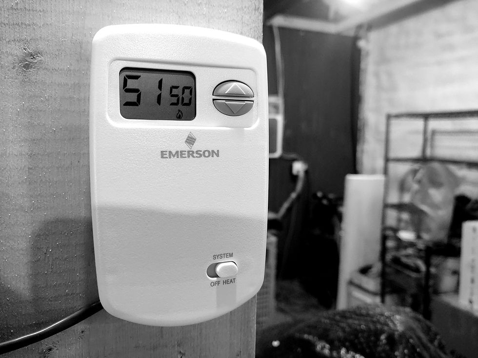 new garage heater keeping the room a toasty 50 degrees - perfect for log incubation!