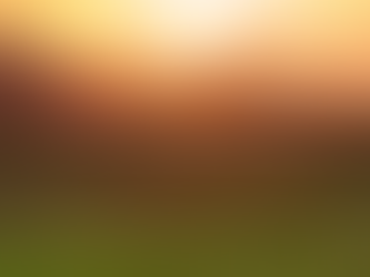 Collect, Readings, Sermon, and Livestream for April 21, 2024