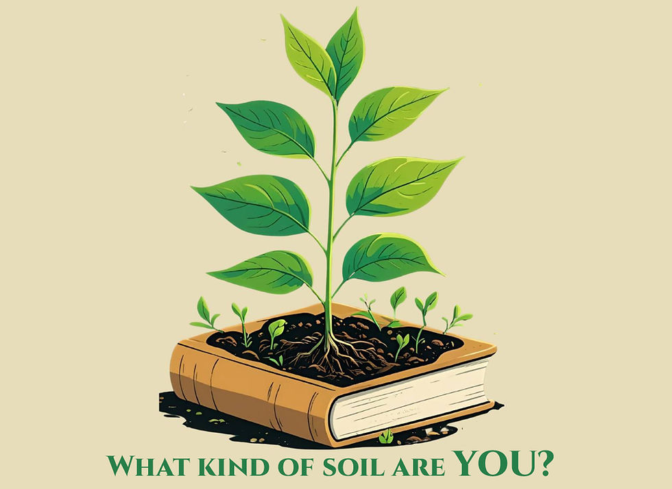 Collect, Readings, Sermon, and Livestream for July 12, 2026