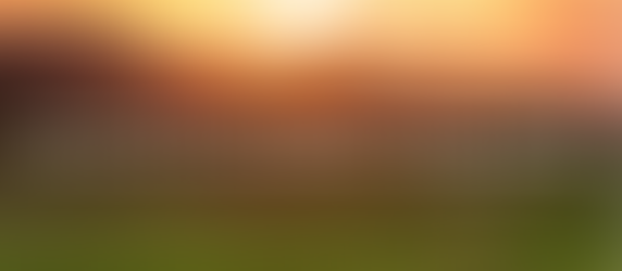 Collect, Readings, Sermon, and Livestream for October 11, 2026