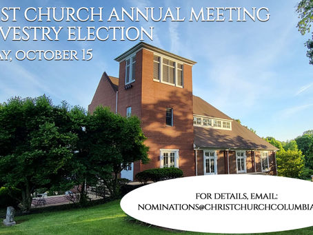 Christ Church's Annual Meeting - This Sunday