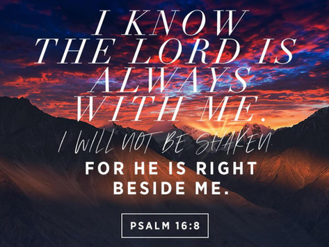 Collect, Readings, Sermon, and Livestream for June 29, 2025