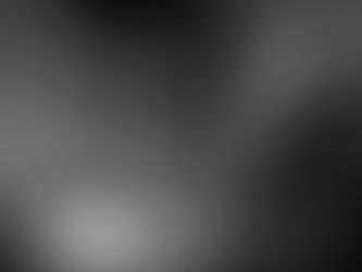 Lenten Meditation: Life is Alive