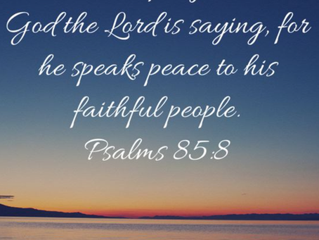 Collect, Readings, Sermon, and Livestream for July 27, 2025