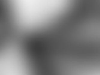 Each Gives What He (She) Has