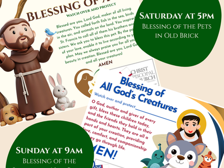 Blessing of the Animals - This Weekend at Christ Church