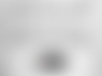 Today's Lenten Meditation: Dust to Dust