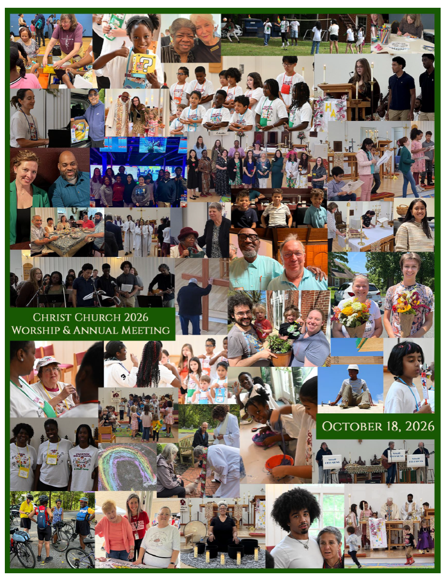 Christ Church's 2026 Annual Meeting and Vestry Elections - This Sunday