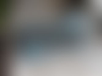 Lenten Meditation: Courage Matters