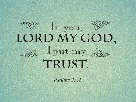 Collect, Readings, Sermon, and Livestream for July 13, 2025
