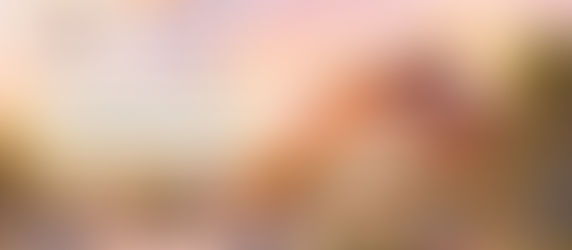 Christ Church Outreach News: March 19, 2026