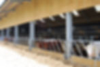 IAE Feed Barriers