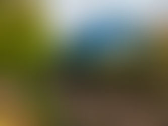 Cabriole (conversiones de hartazgo) 