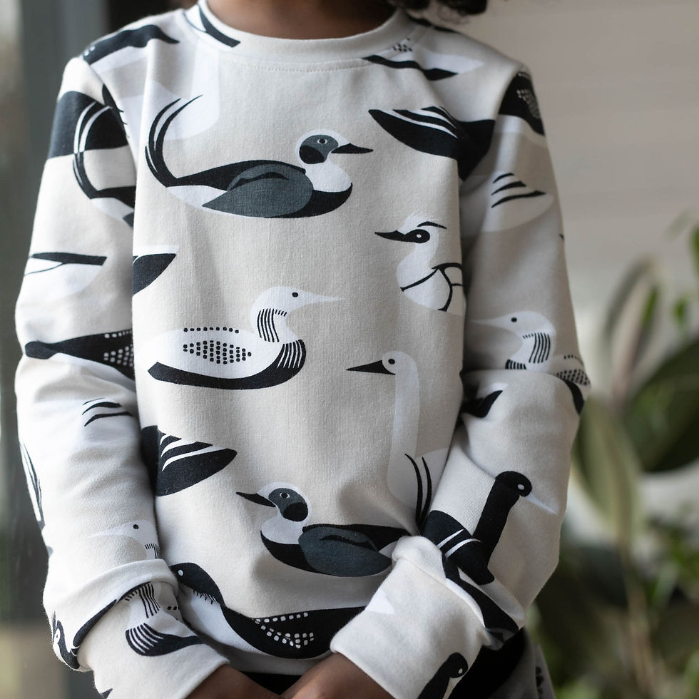 Thumbnail: PaaPii ALPI organic Sweatshirt, Waterbirds | Sand and Dark Grey