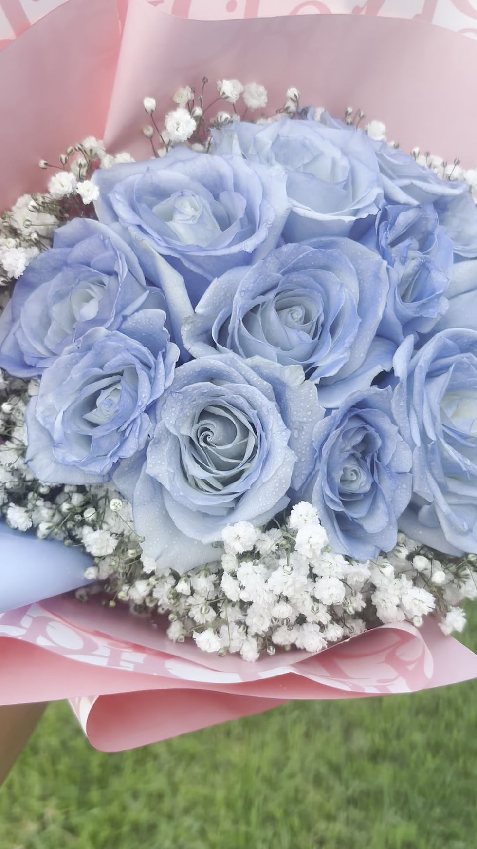Thumbnail: 12 Ct Baby Blue Rose Bouquet