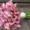 Thumbnail: Pink Calla Lily Bouquet