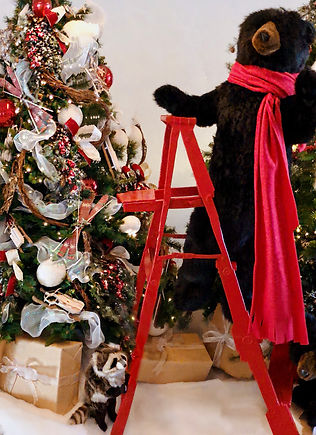 Close_Up BearLadder.jpg
