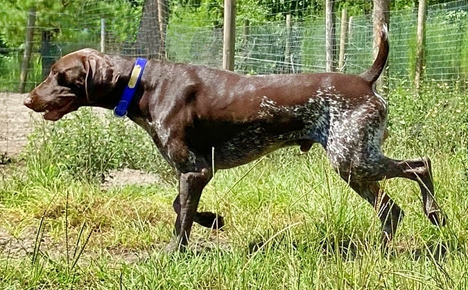 BeFunky-photo (2).png