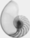 01e58fac096c76730981748d9b87d408.jpg