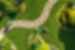 Lawncare.jpg