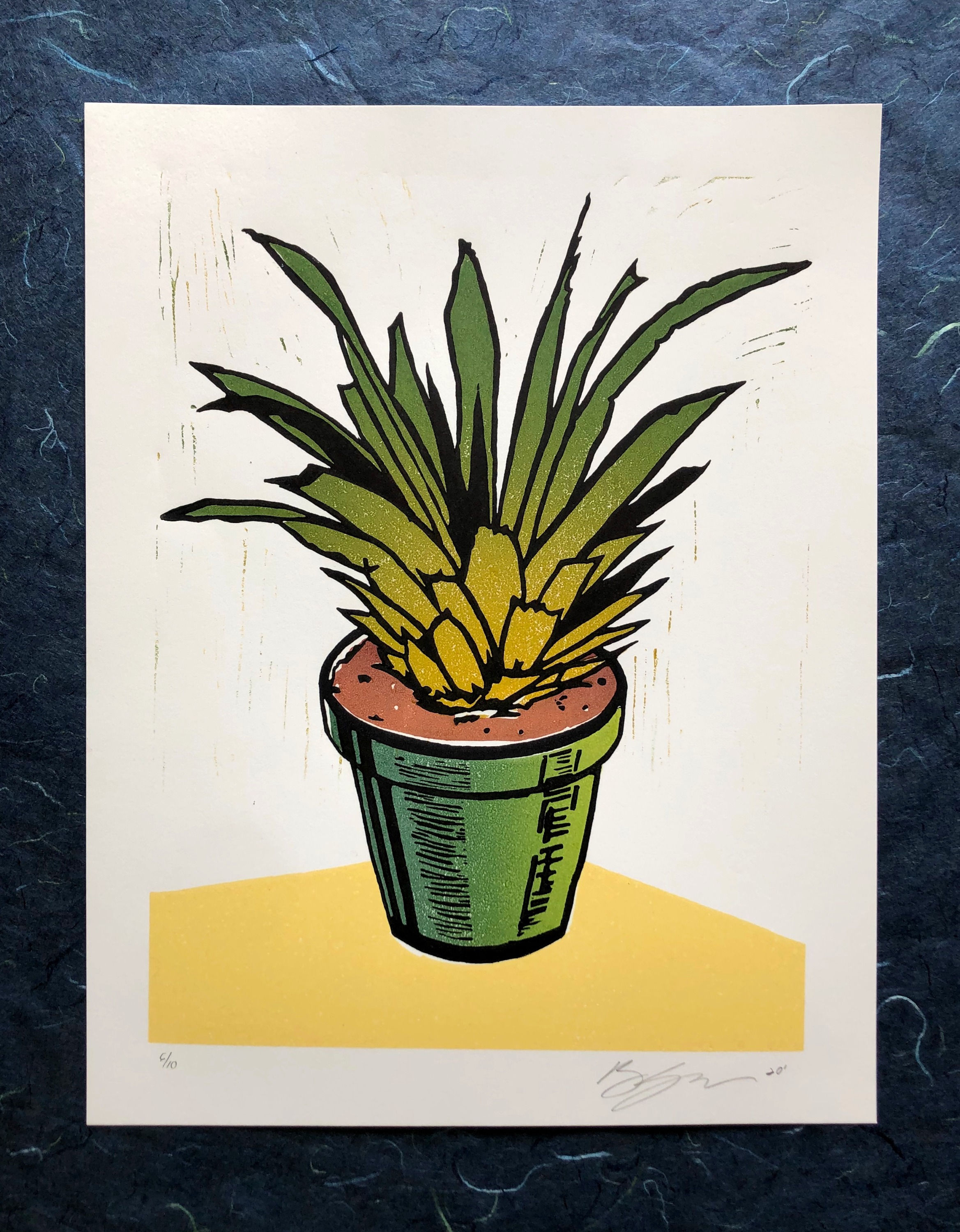 Pineapple Plant