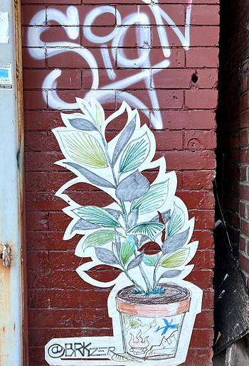 BRK plant 2_edited.jpg