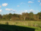 farm pic3