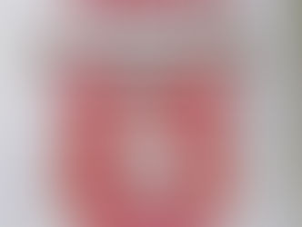 L'Académie Internationale des Cosaques a honoré le comte du Gévaudan.