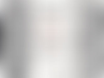 Nomination honorifique du comte de Gavaldá